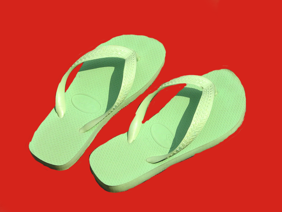 Flip Flops